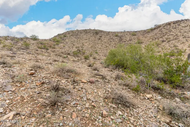 a view of a dry yard