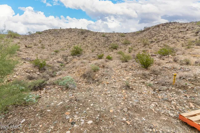 a view of a dry yard