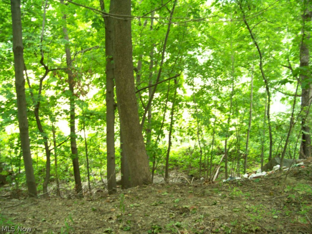 15750 Terrace Road Cleveland, OH 44112 - Photo 10 of 25