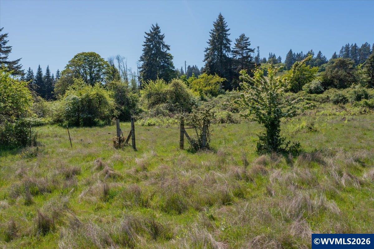 201560 Orchard Tract Road Monroe, OR 97456 - Photo 11 of 23