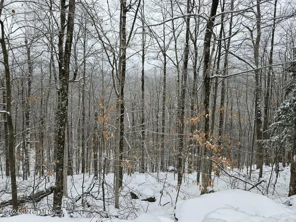 $174,999 | L12 14th Road, Minerva, NY 12851