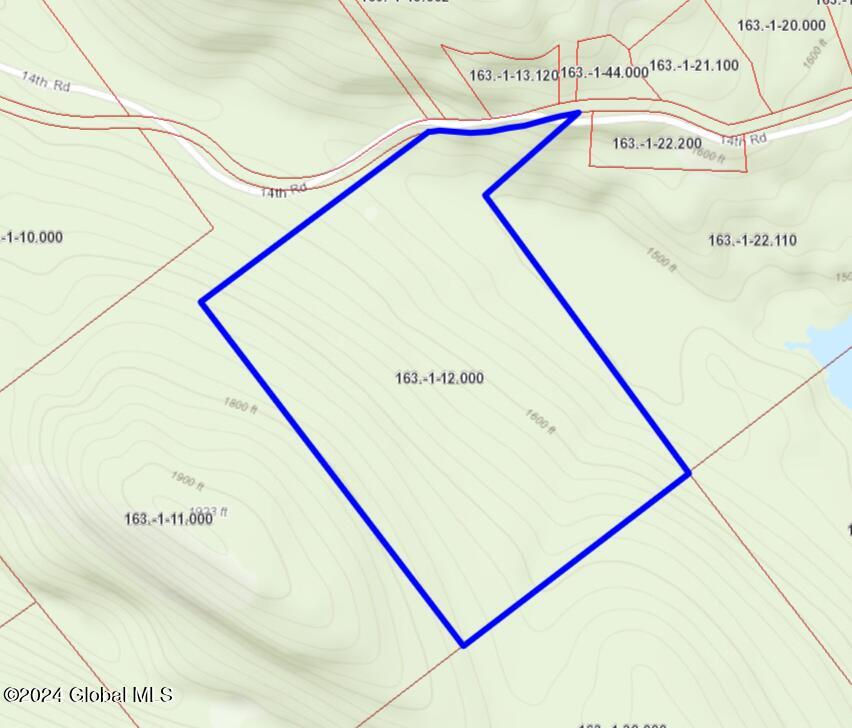 L12 14th Road Minerva, NY 12851 - Photo 2 of 2 65 acre parcel