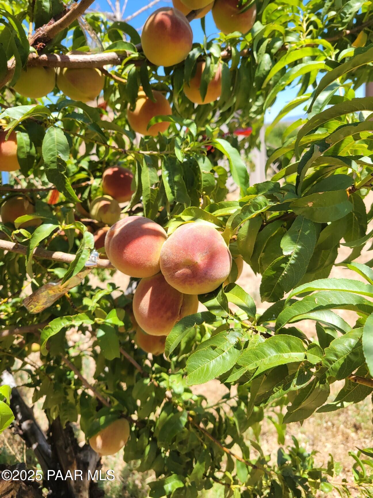 350 Ranch House Road Paulden, AZ 86334 - Photo 39 of 39 Attach0