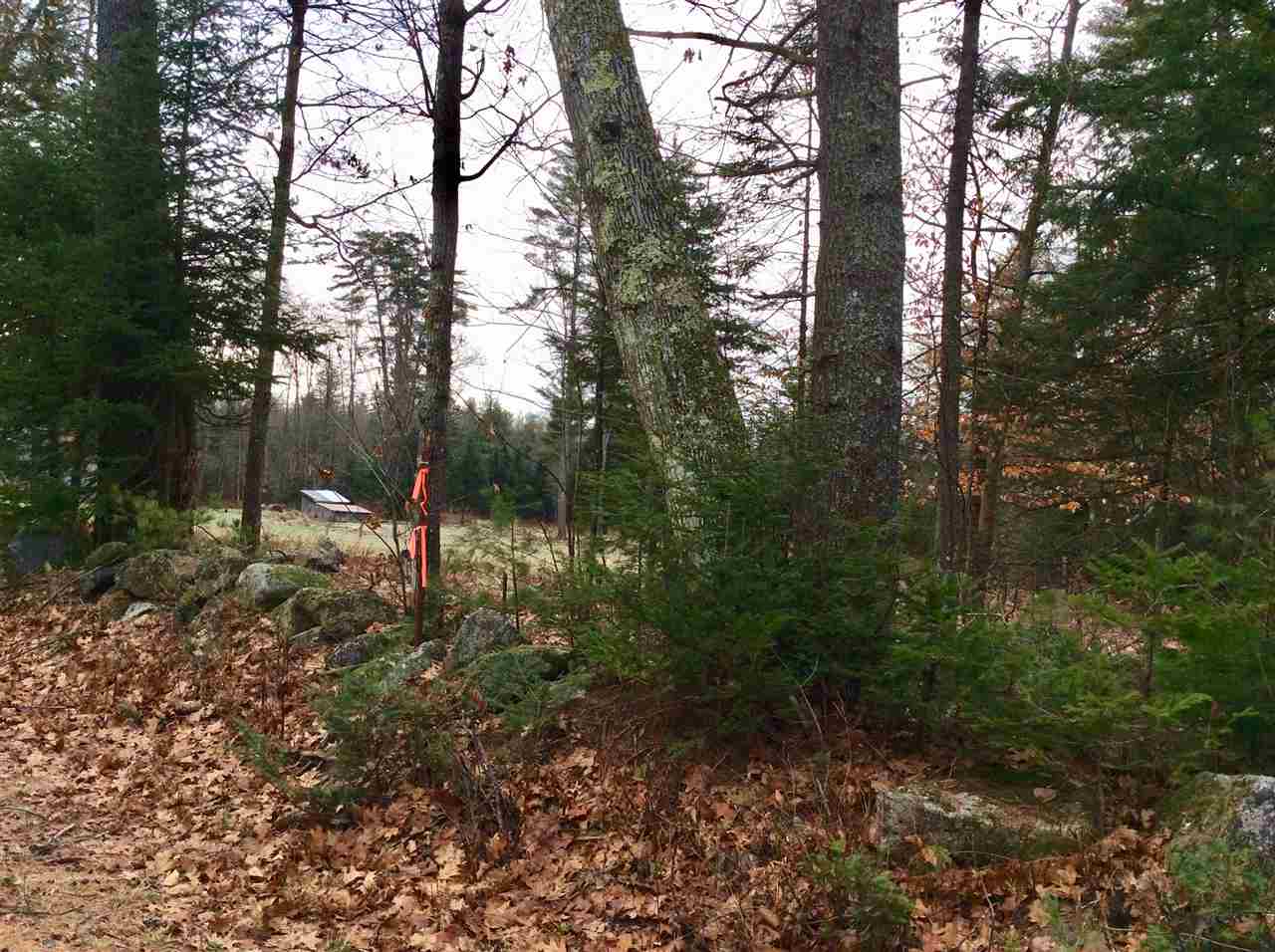 14-a Rd Stow Me 04037 Road, Unit 14A Stow, ME 04037 - Photo 3 of 5 Gallery Image 3