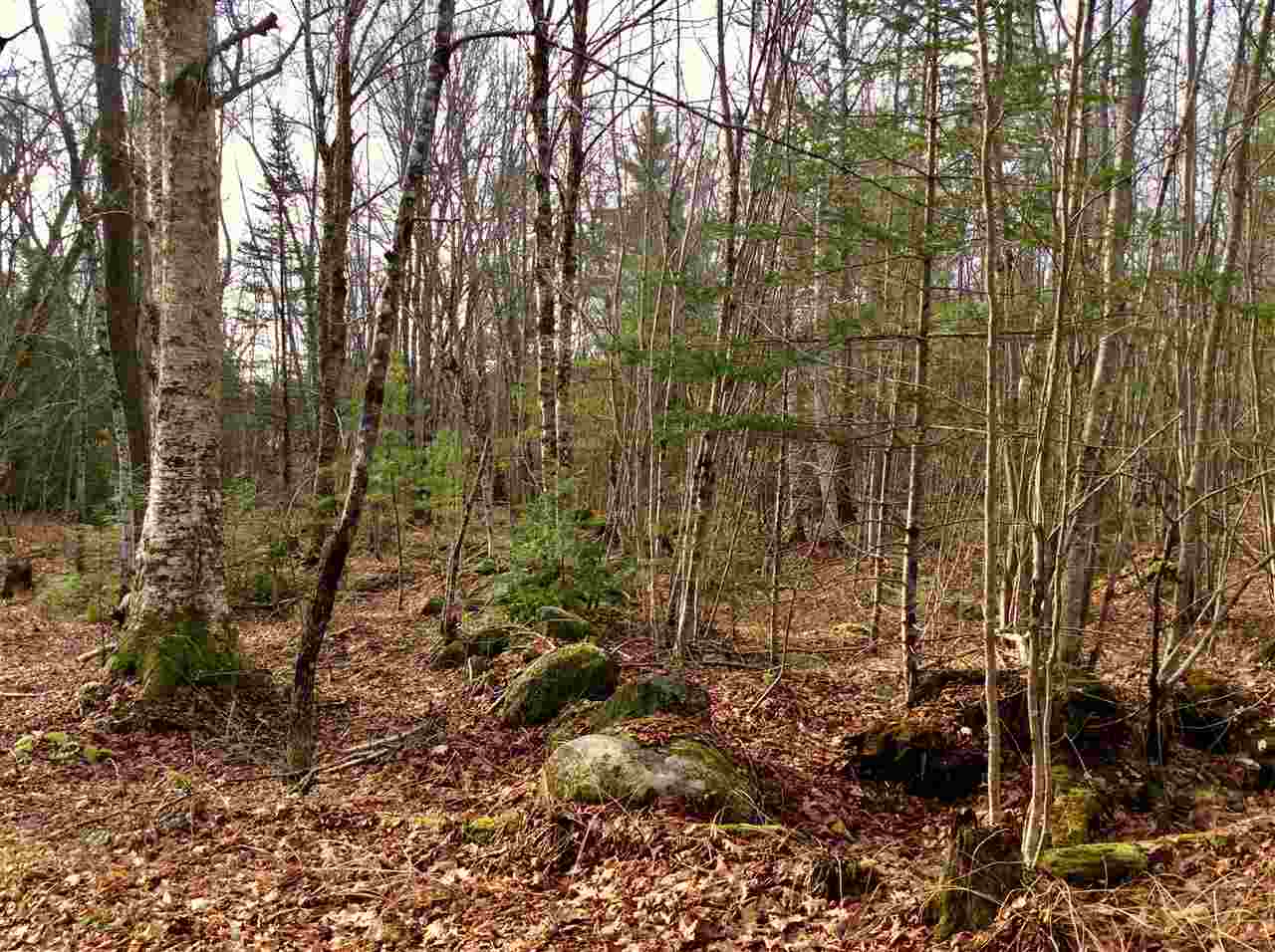 14-a Rd Stow Me 04037 Road, Unit 14A Stow, ME 04037 - Photo 5 of 5 Gallery Image 5