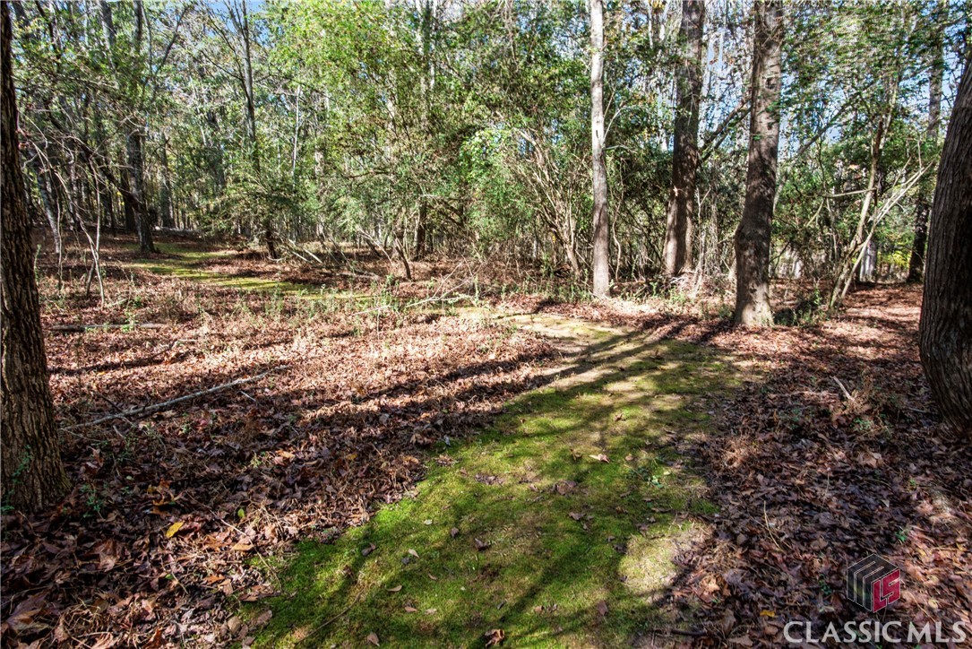 2300 New High Shoals Road Watkinsville, GA 30677 - Photo 39 of 69 Gallery Image 39