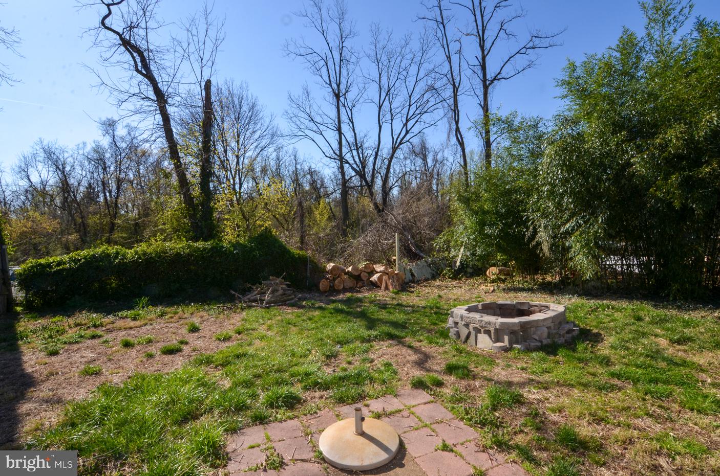 249 Main Street Hamilton, NJ 08620 - Photo 32 of 34 Wooded Views