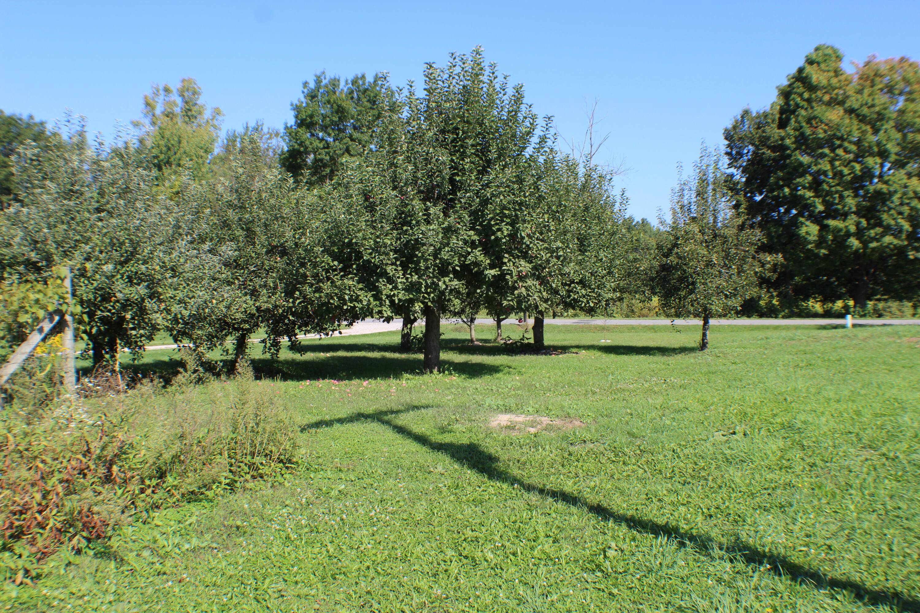 7864 15 Mile Road Northeast Cedar Springs, MI 49319 - Photo 22 of 30 IMG_2928