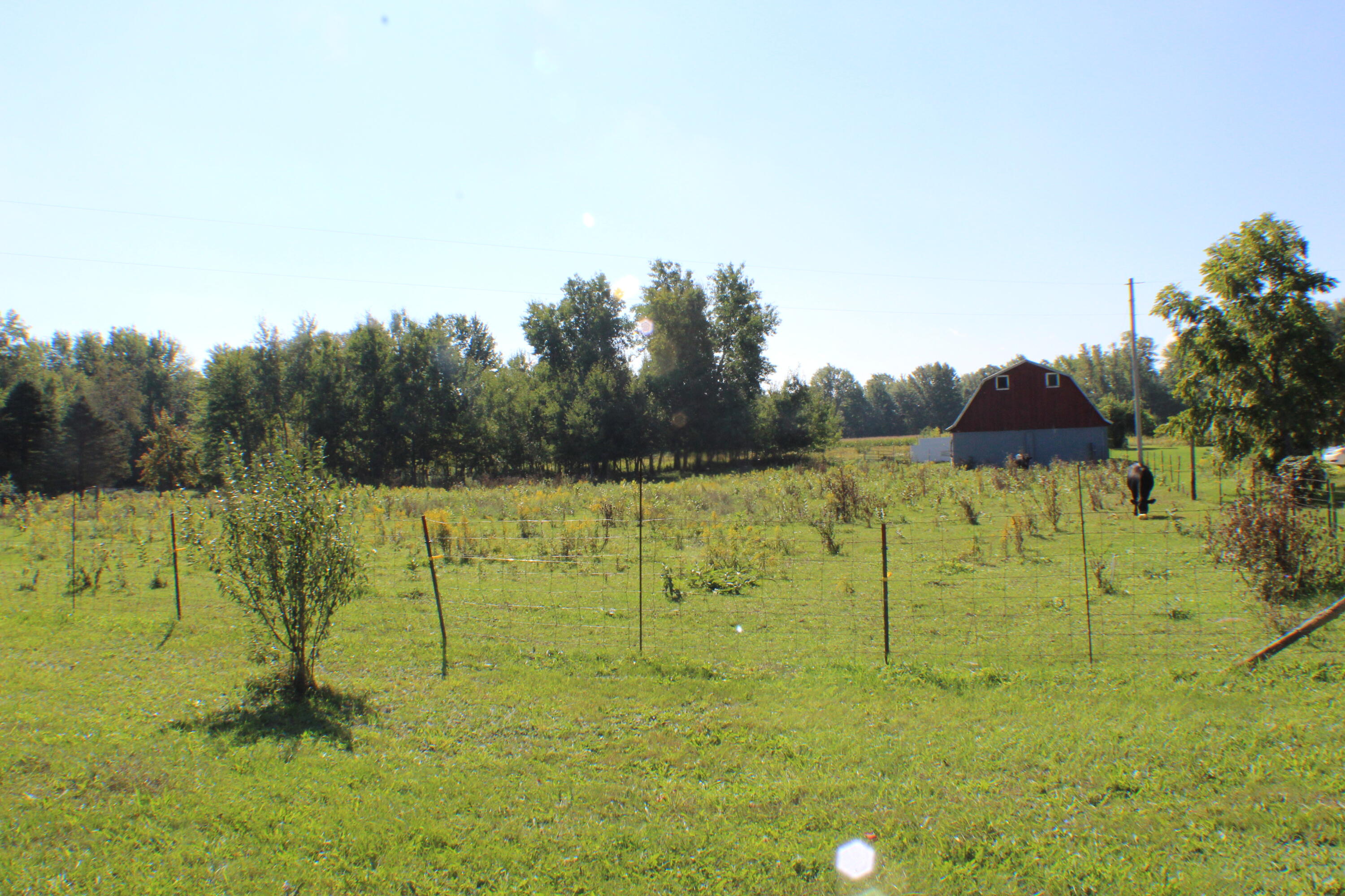 7864 15 Mile Road Northeast Cedar Springs, MI 49319 - Photo 23 of 30 IMG_2990