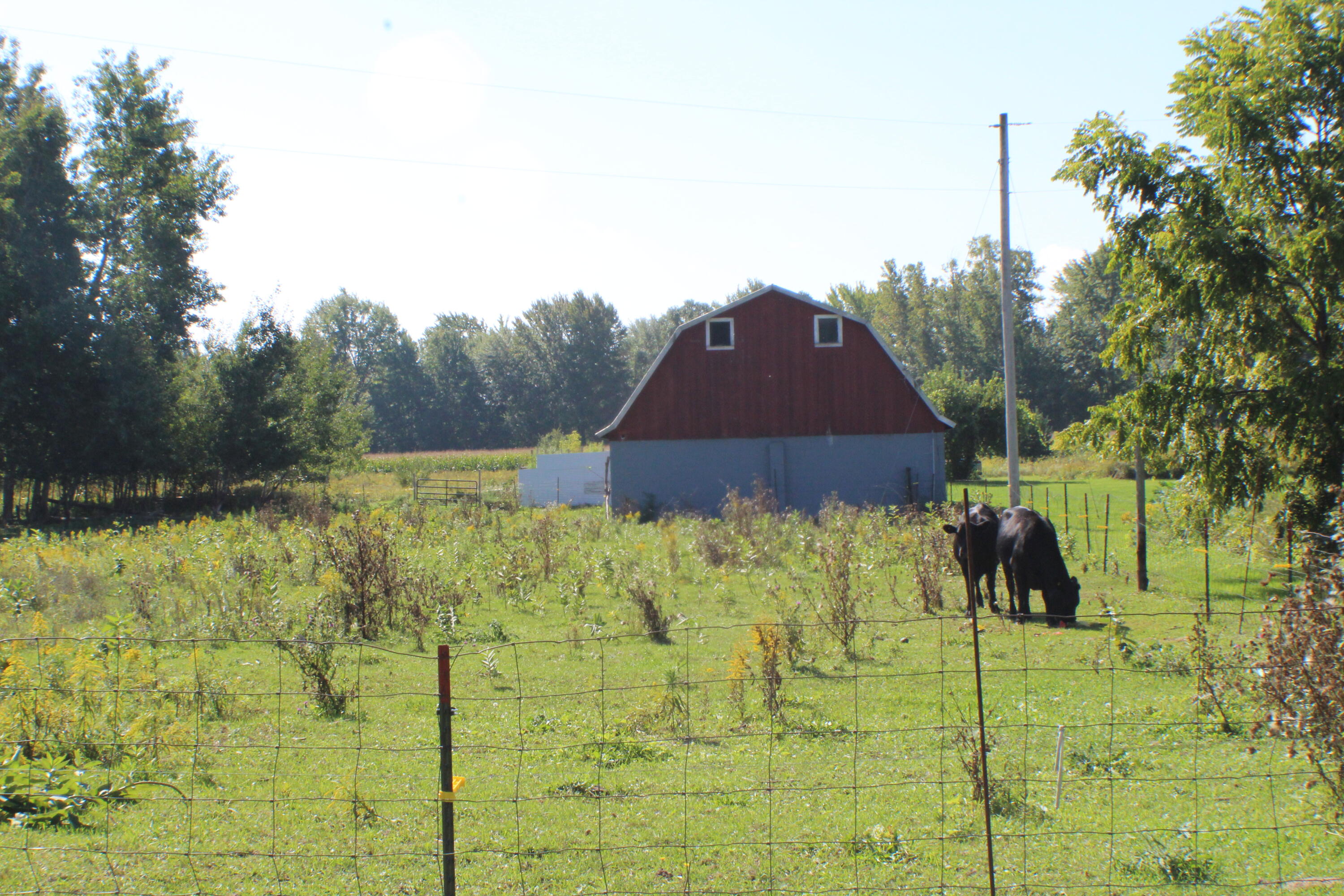 7864 15 Mile Road Northeast Cedar Springs, MI 49319 - Photo 24 of 30 IMG_2991