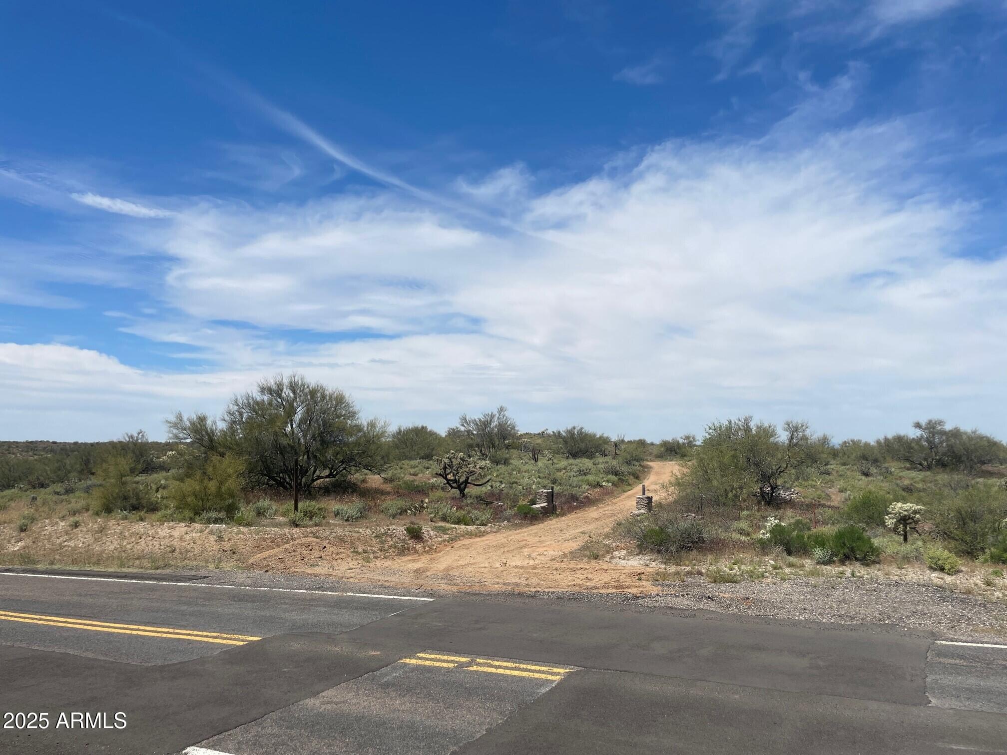 0 North Barkerville Road Florence, AZ 85132 - Photo 5 of 6