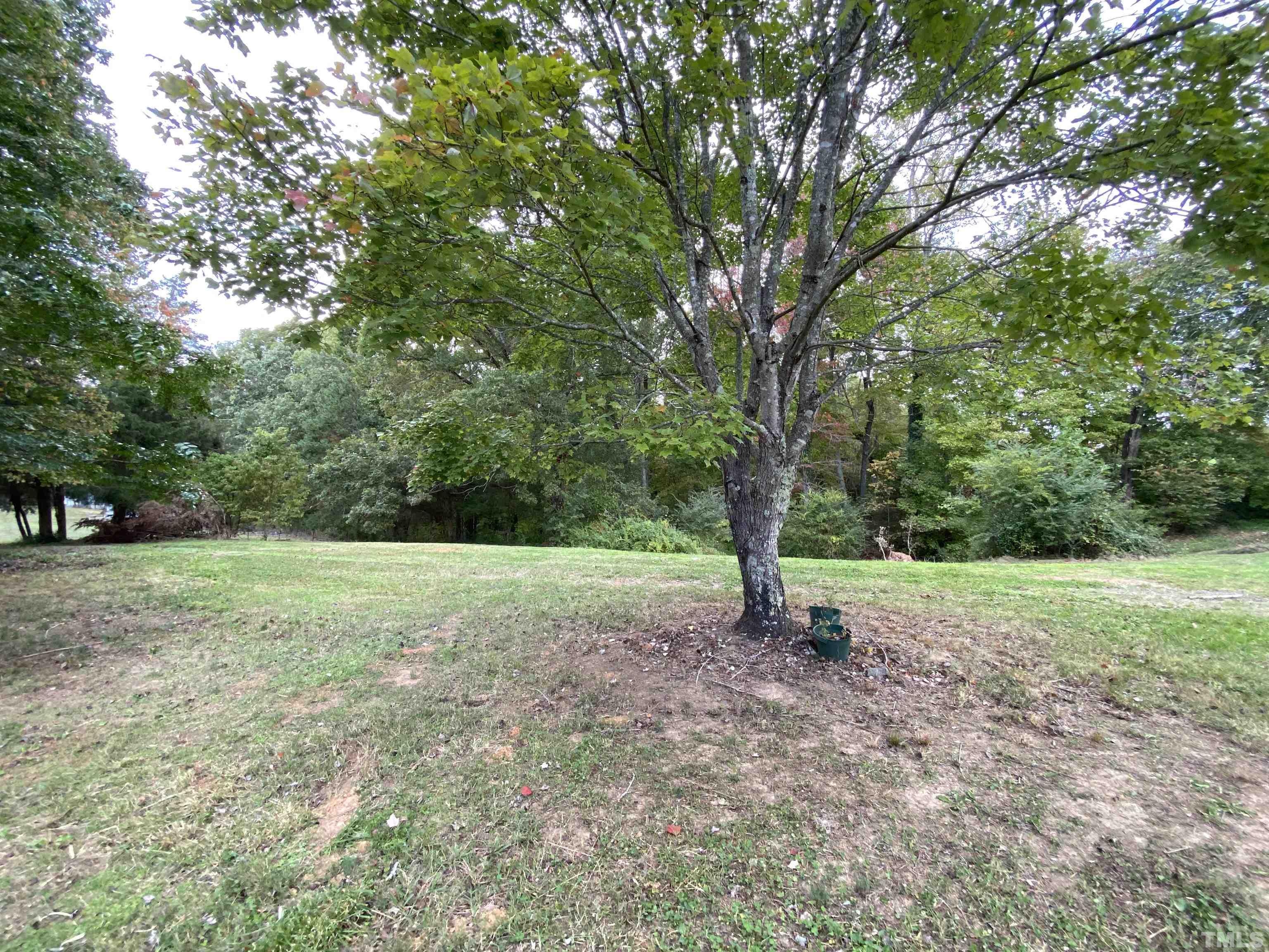 1132 Rockingham Lake Road Reidsville, NC 27320 - Photo 20 of 21 Gallery Image 20