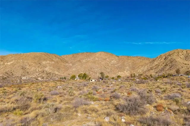 a view of a mountain range with trees in the background