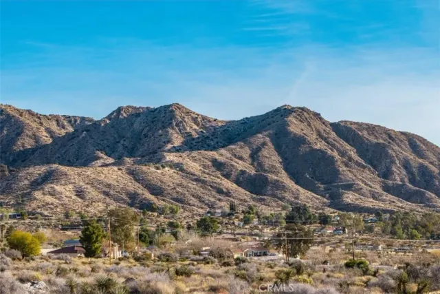 a view of a dry yard with wooden fence