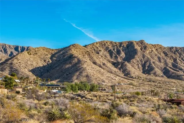a view of a dry yard with wooden fence