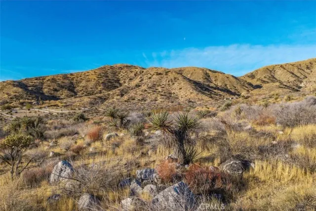 a view of a snow on a mountain