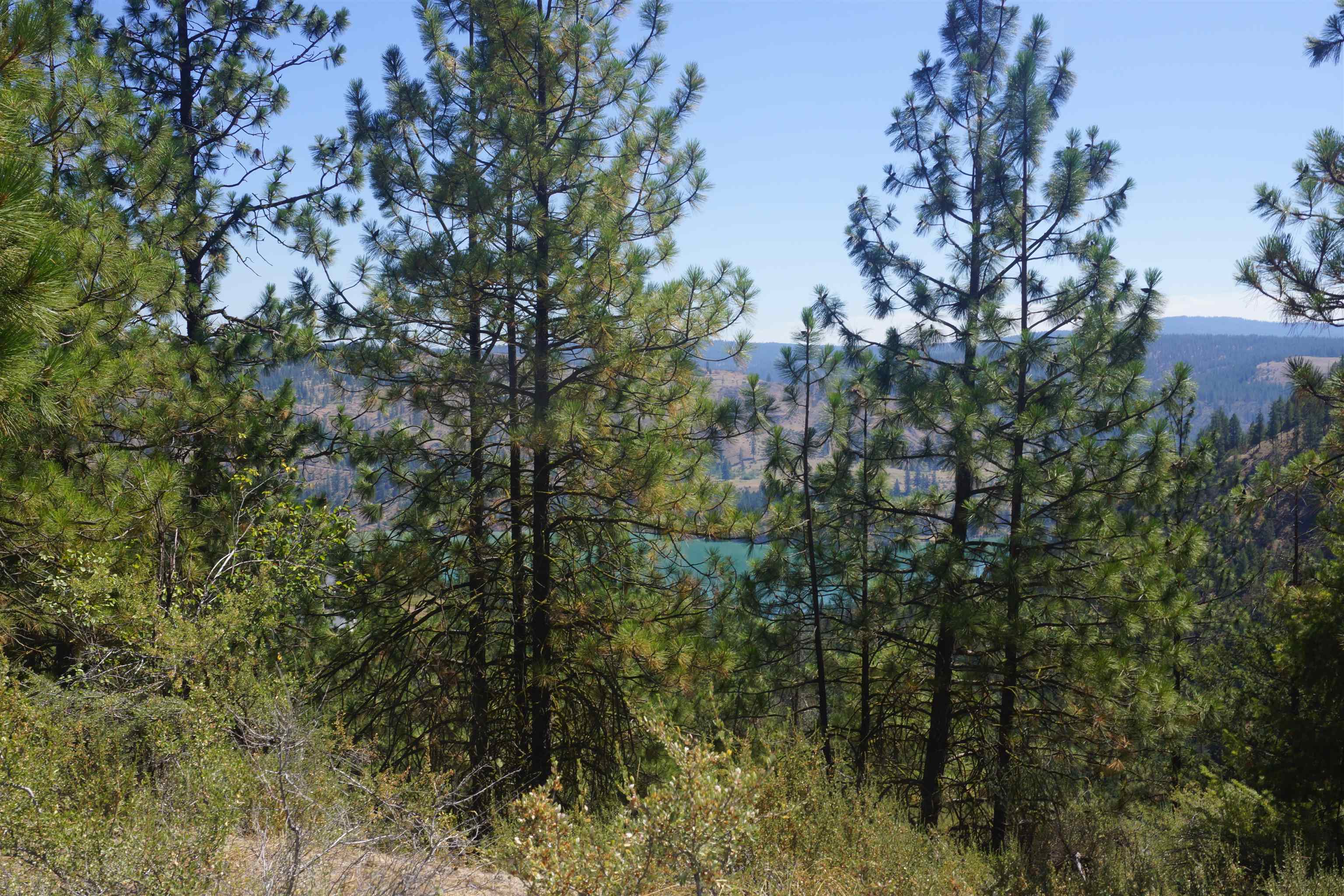 Lot 24 Timber Bay Drive East, Unit LOT 24 A & B TIMBER BAY RD Davenport, WA 99122 - Photo 12 of 33