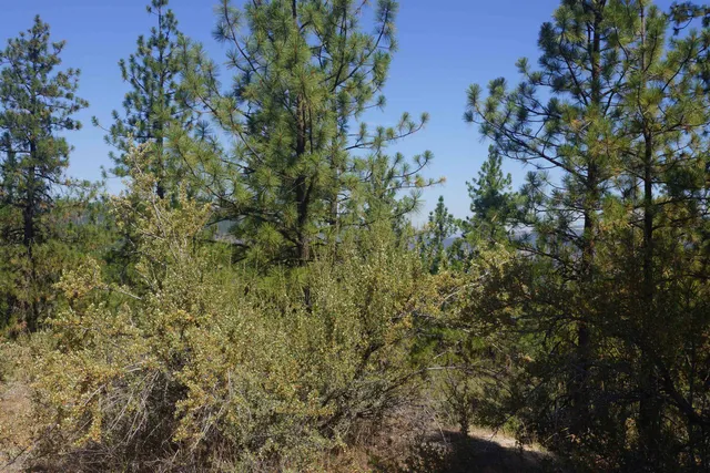 $219,000 | Lot 24 Timber Bay Drive East, Unit LOT 24 A & B TIMBER BAY RD, Davenport, WA 99122