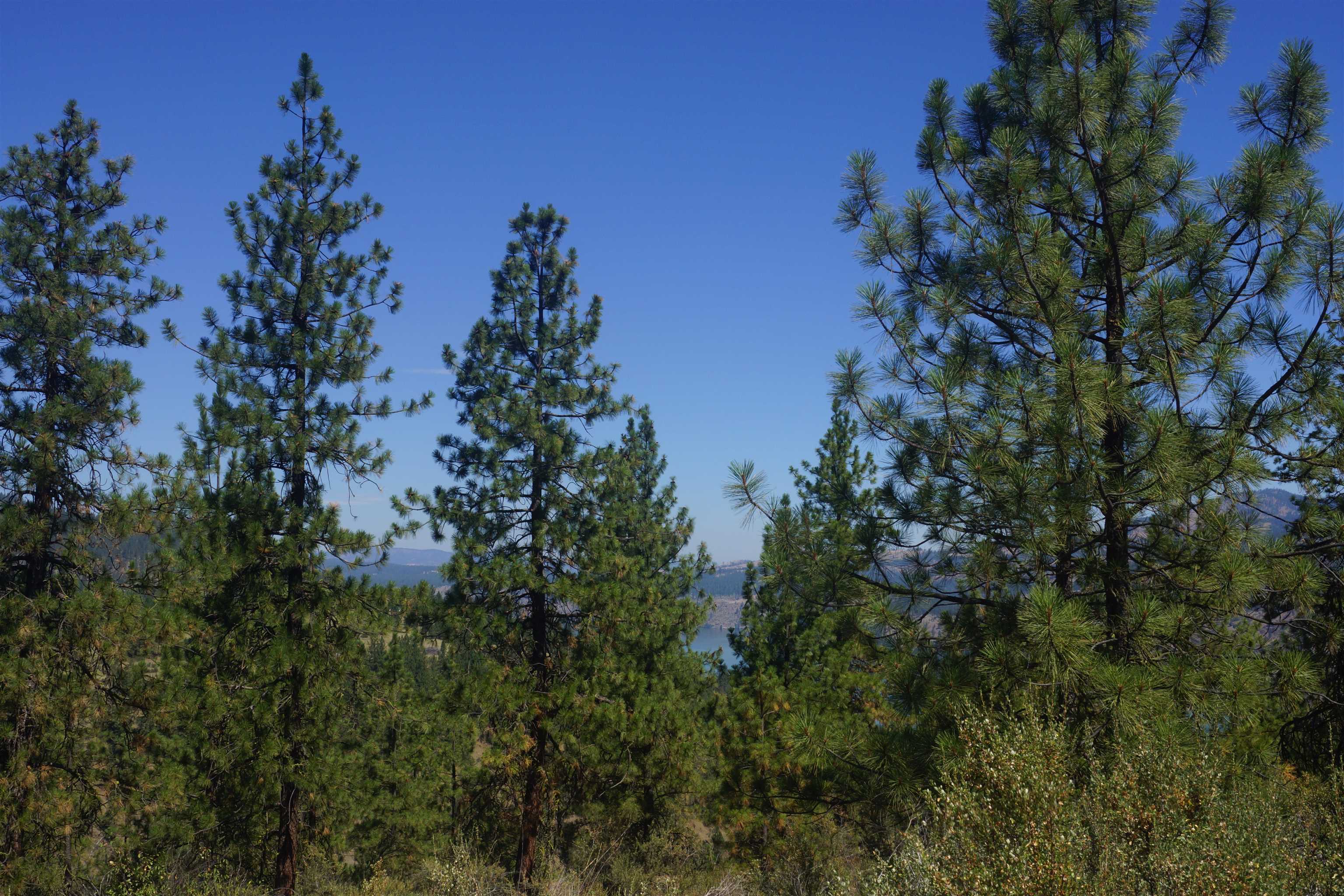 Lot 24 Timber Bay Drive East, Unit LOT 24 A & B TIMBER BAY RD Davenport, WA 99122 - Photo 15 of 33