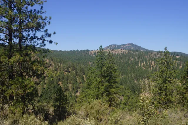 $219,000 | Lot 24 Timber Bay Drive East, Unit LOT 24 A & B TIMBER BAY RD, Davenport, WA 99122