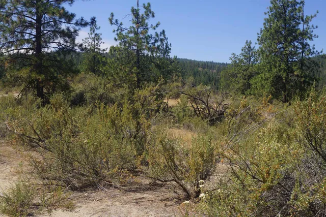 $219,000 | Lot 24 Timber Bay Drive East, Unit LOT 24 A & B TIMBER BAY RD, Davenport, WA 99122