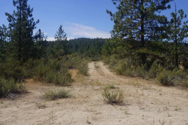 $170,000 | Lot 24 Timber Bay Drive East, Unit LOT 24 A & B TIMBER BAY RD, Davenport, WA 99122