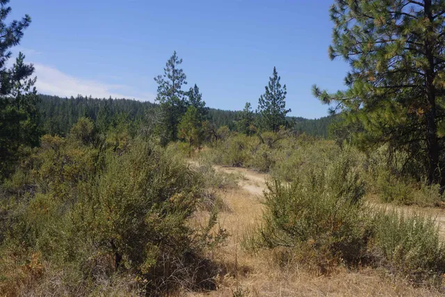 $219,000 | Lot 24 Timber Bay Drive East, Unit LOT 24 A & B TIMBER BAY RD, Davenport, WA 99122