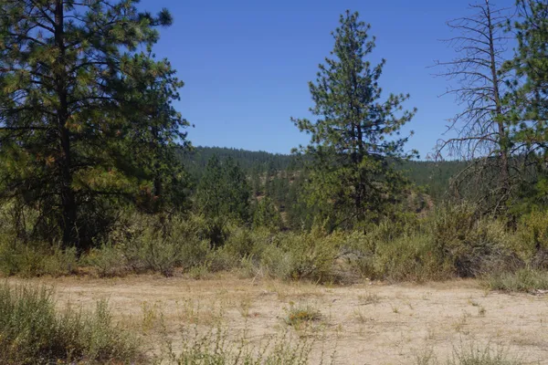 $170,000 | Lot 24 Timber Bay Drive East, Unit LOT 24 A & B TIMBER BAY RD, Davenport, WA 99122