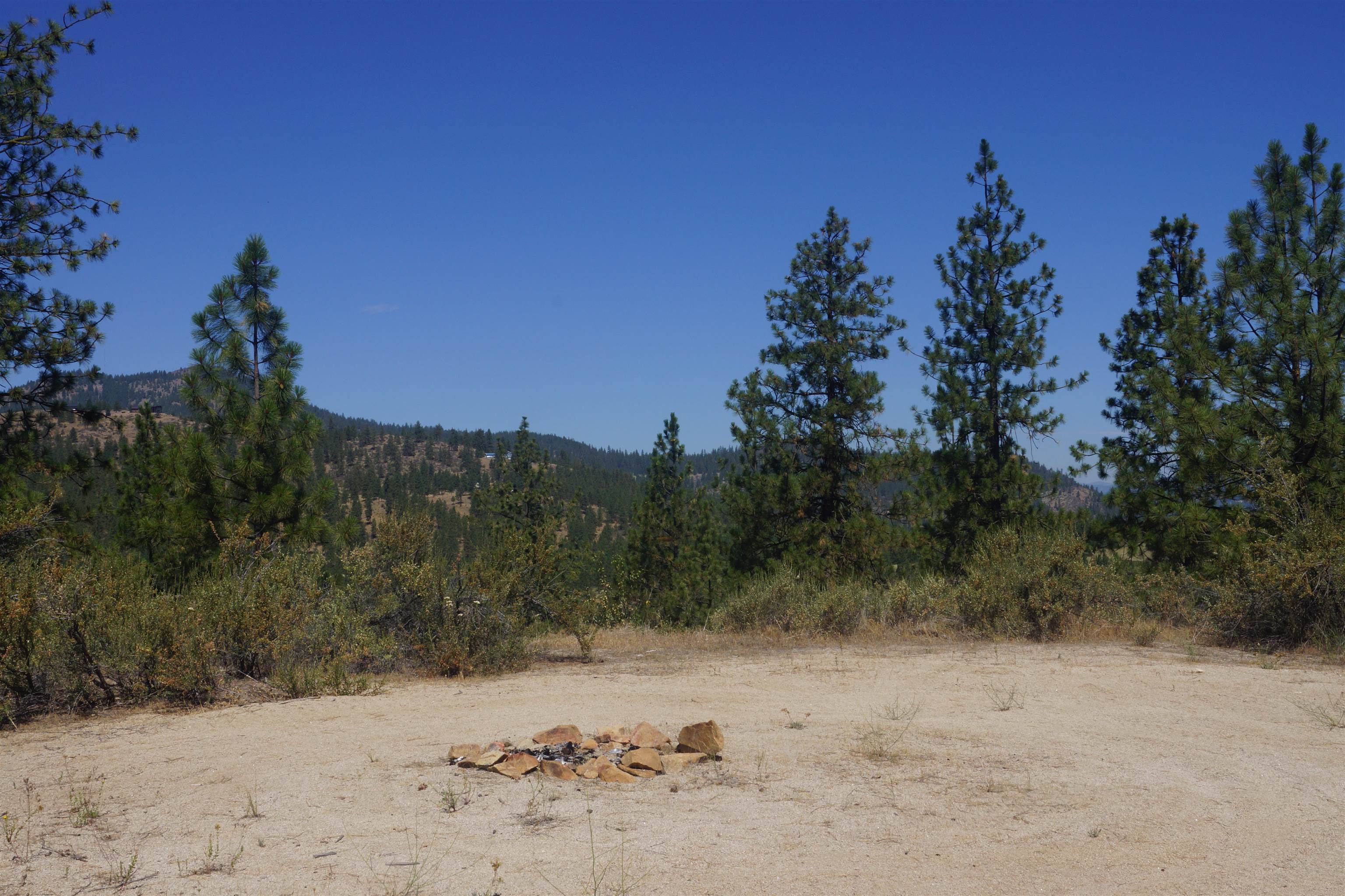 Lot 24 Timber Bay Drive East, Unit LOT 24 A & B TIMBER BAY RD Davenport, WA 99122 - Photo 21 of 33