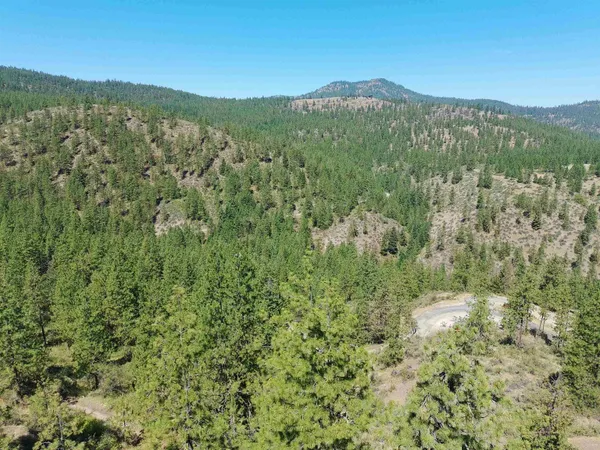 $170,000 | Lot 24 Timber Bay Drive East, Unit LOT 24 A & B TIMBER BAY RD, Davenport, WA 99122