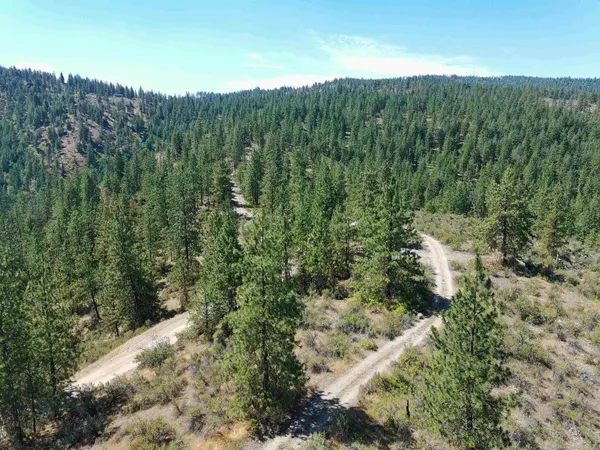 $170,000 | Lot 24 Timber Bay Drive East, Unit LOT 24 A & B TIMBER BAY RD, Davenport, WA 99122