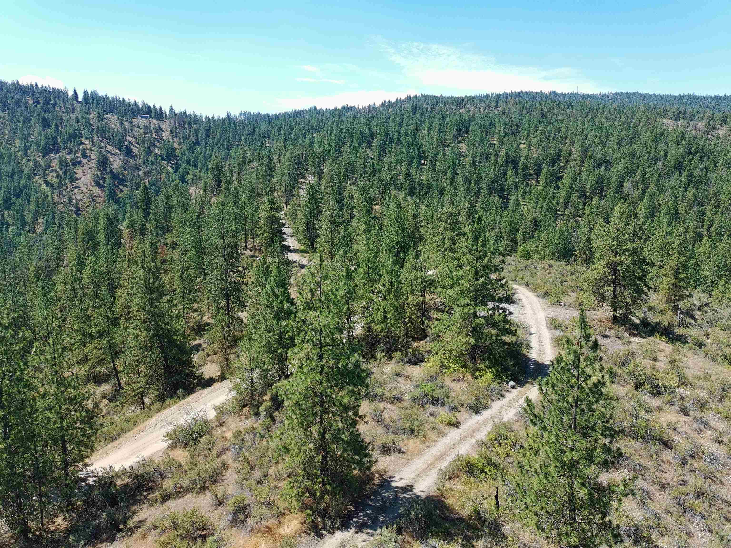 Lot 24 Timber Bay Drive East, Unit LOT 24 A & B TIMBER BAY RD Davenport, WA 99122 - Photo 24 of 33