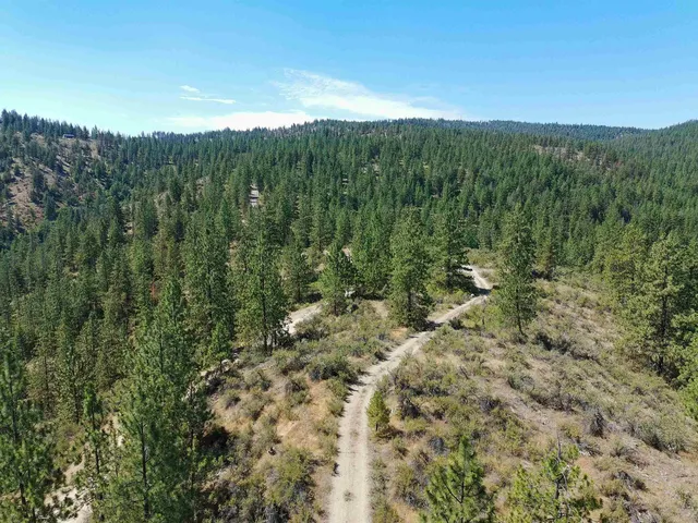 $219,000 | Lot 24 Timber Bay Drive East, Unit LOT 24 A & B TIMBER BAY RD, Davenport, WA 99122