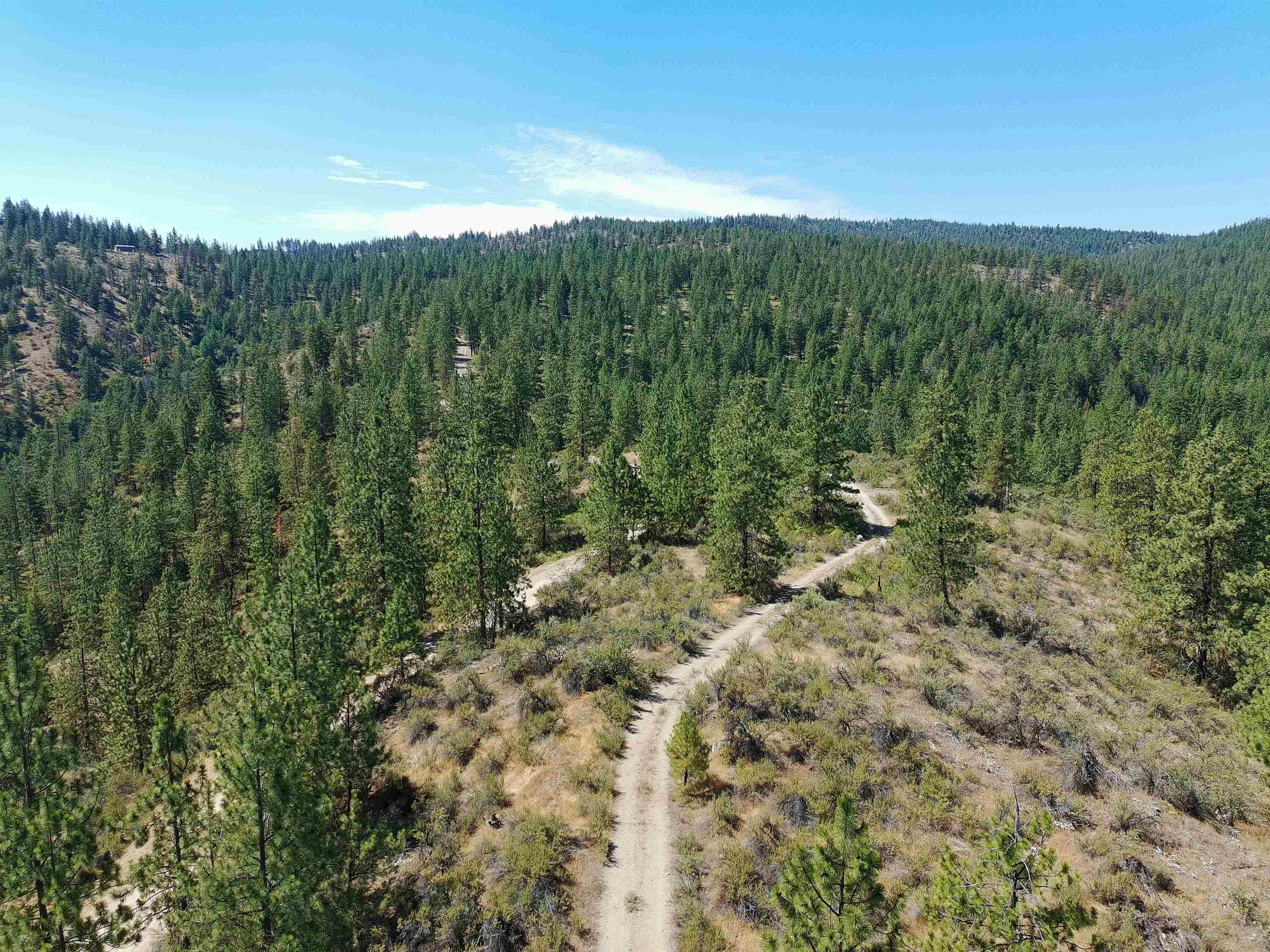 Lot 24 Timber Bay Drive East, Unit LOT 24 A & B TIMBER BAY RD Davenport, WA 99122 - Photo 25 of 33