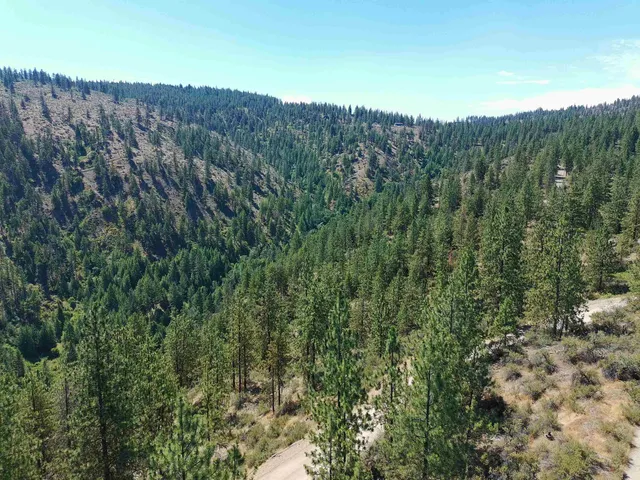 $219,000 | Lot 24 Timber Bay Drive East, Unit LOT 24 A & B TIMBER BAY RD, Davenport, WA 99122