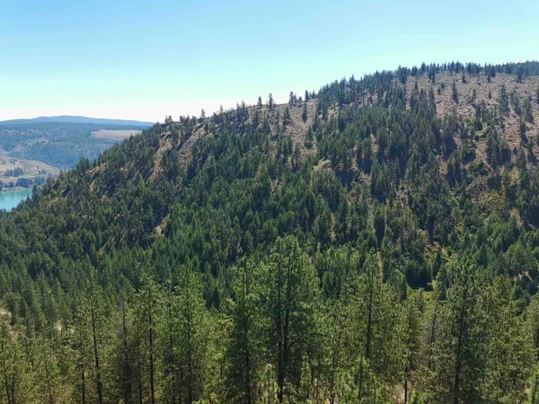 $170,000 | Lot 24 Timber Bay Drive East, Unit LOT 24 A & B TIMBER BAY RD, Davenport, WA 99122