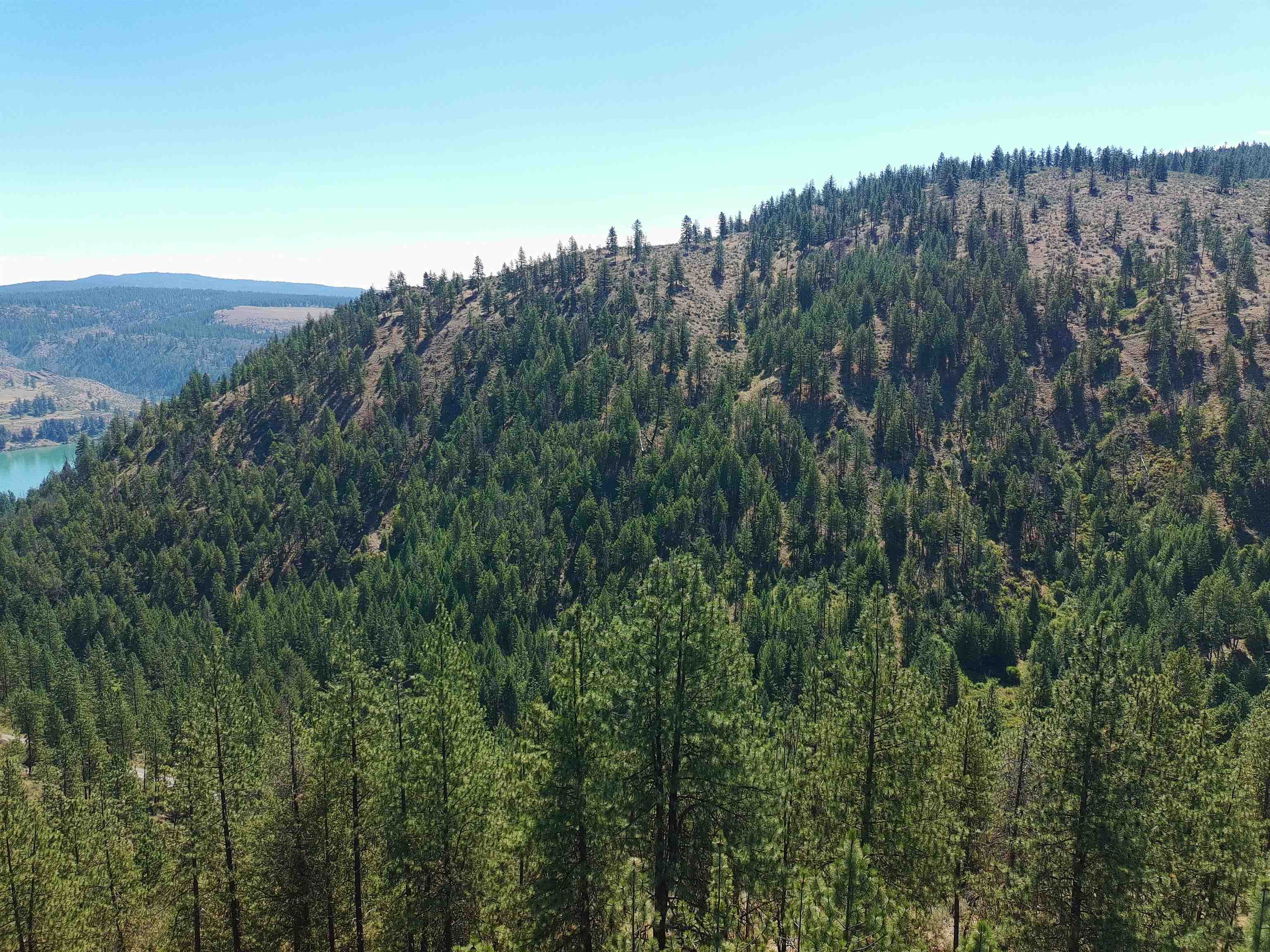 Lot 24 Timber Bay Drive East, Unit LOT 24 A & B TIMBER BAY RD Davenport, WA 99122 - Photo 27 of 33