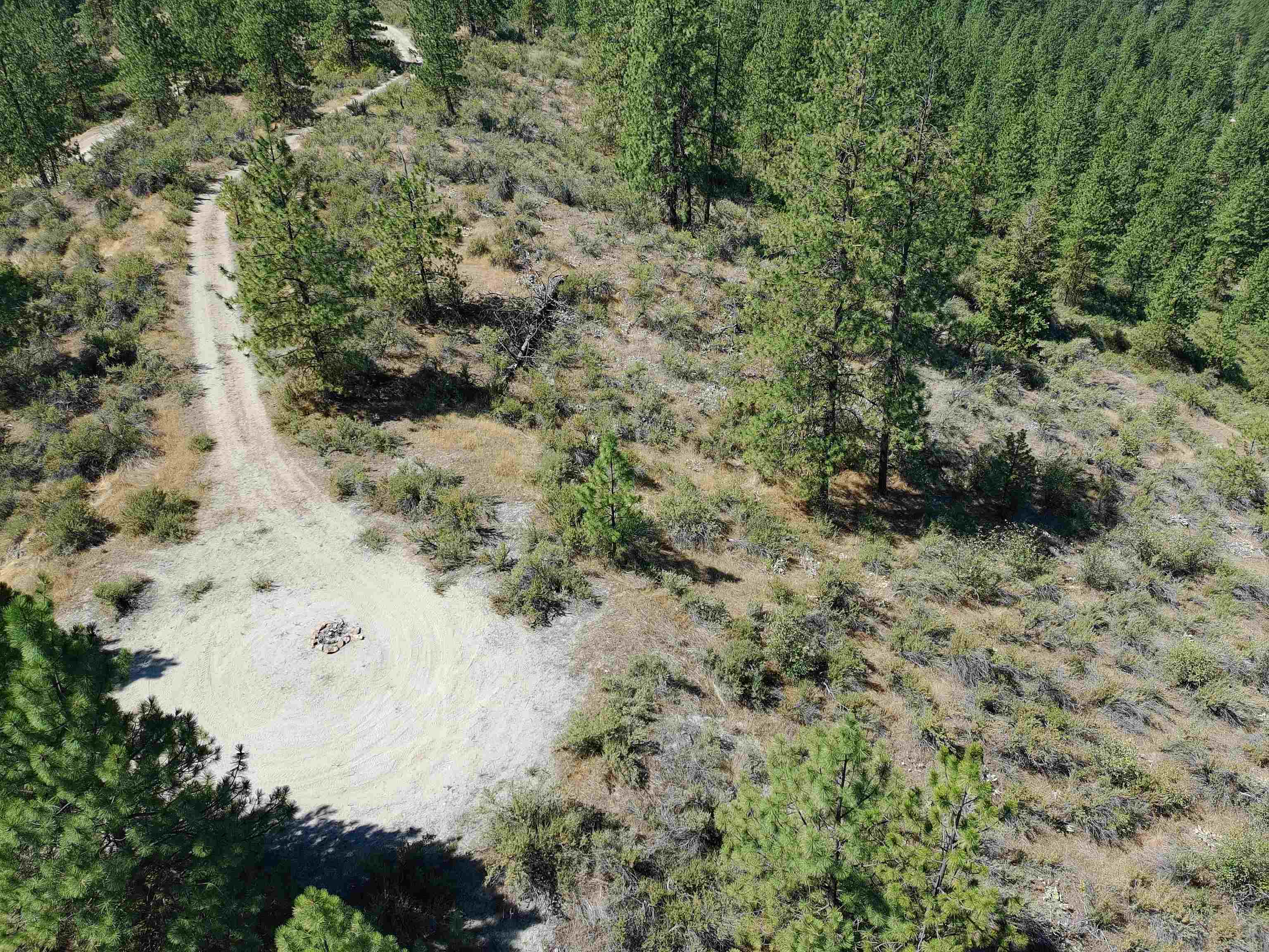 Lot 24 Timber Bay Drive East, Unit LOT 24 A & B TIMBER BAY RD Davenport, WA 99122 - Photo 29 of 33