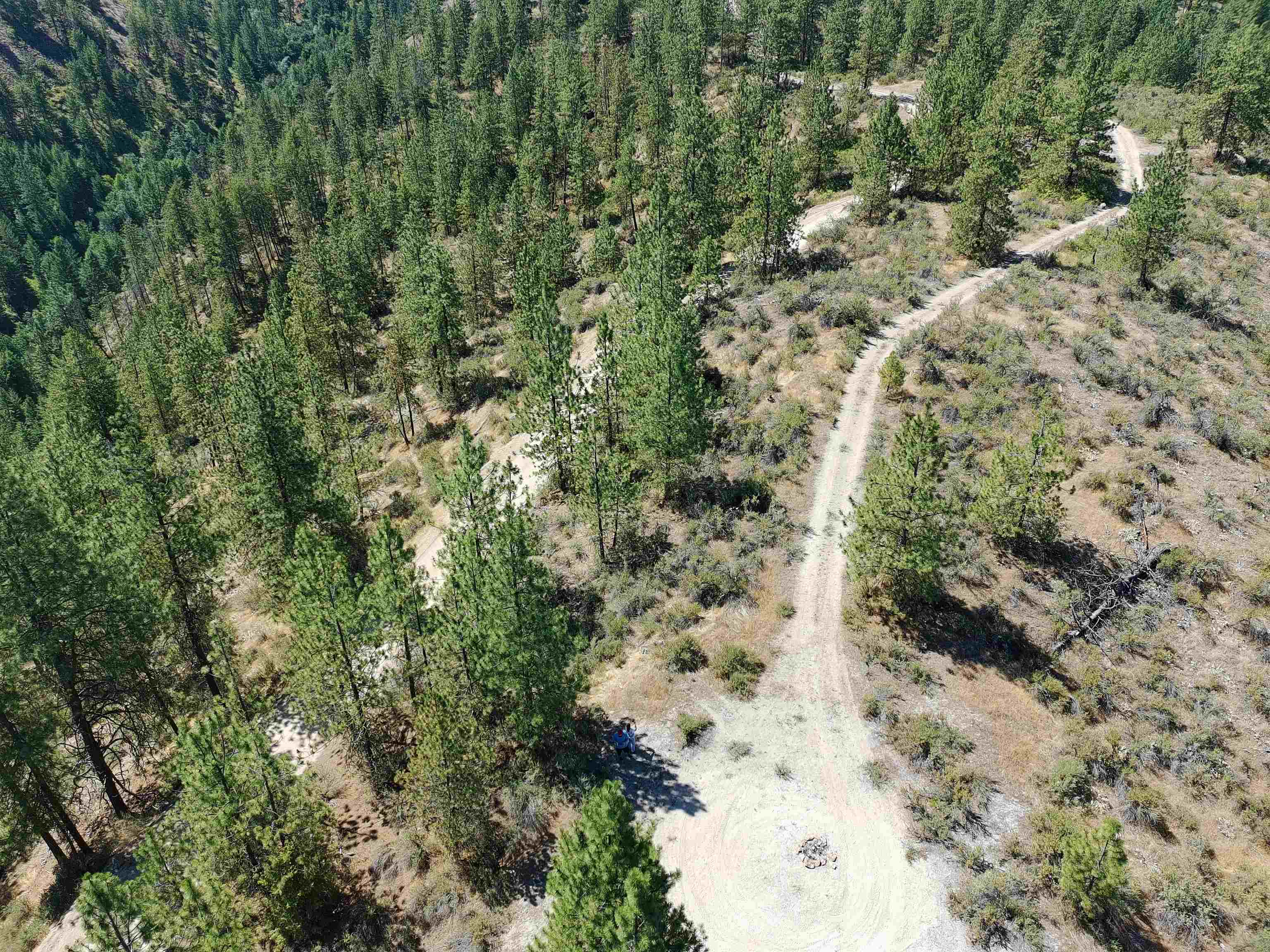 Lot 24 Timber Bay Drive East, Unit LOT 24 A & B TIMBER BAY RD Davenport, WA 99122 - Photo 32 of 33