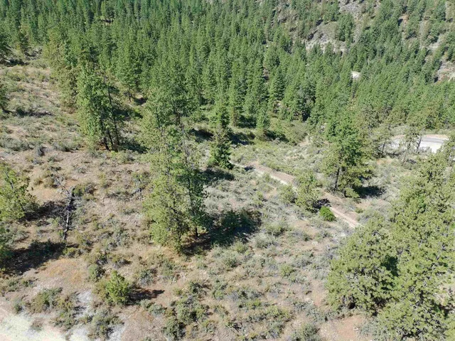 $219,000 | Lot 24 Timber Bay Drive East, Unit LOT 24 A & B TIMBER BAY RD, Davenport, WA 99122