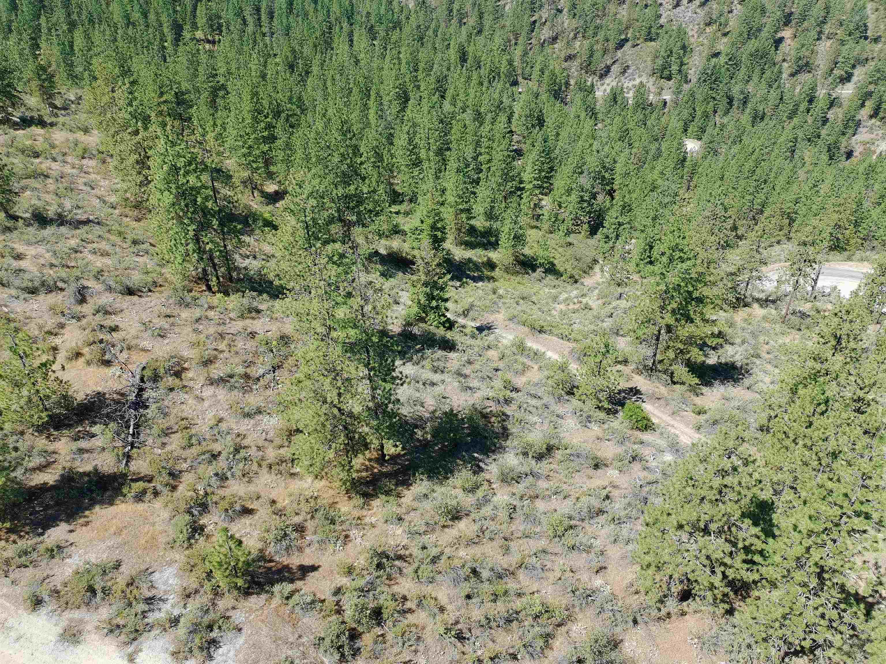 Lot 24 Timber Bay Drive East, Unit LOT 24 A & B TIMBER BAY RD Davenport, WA 99122 - Photo 33 of 33