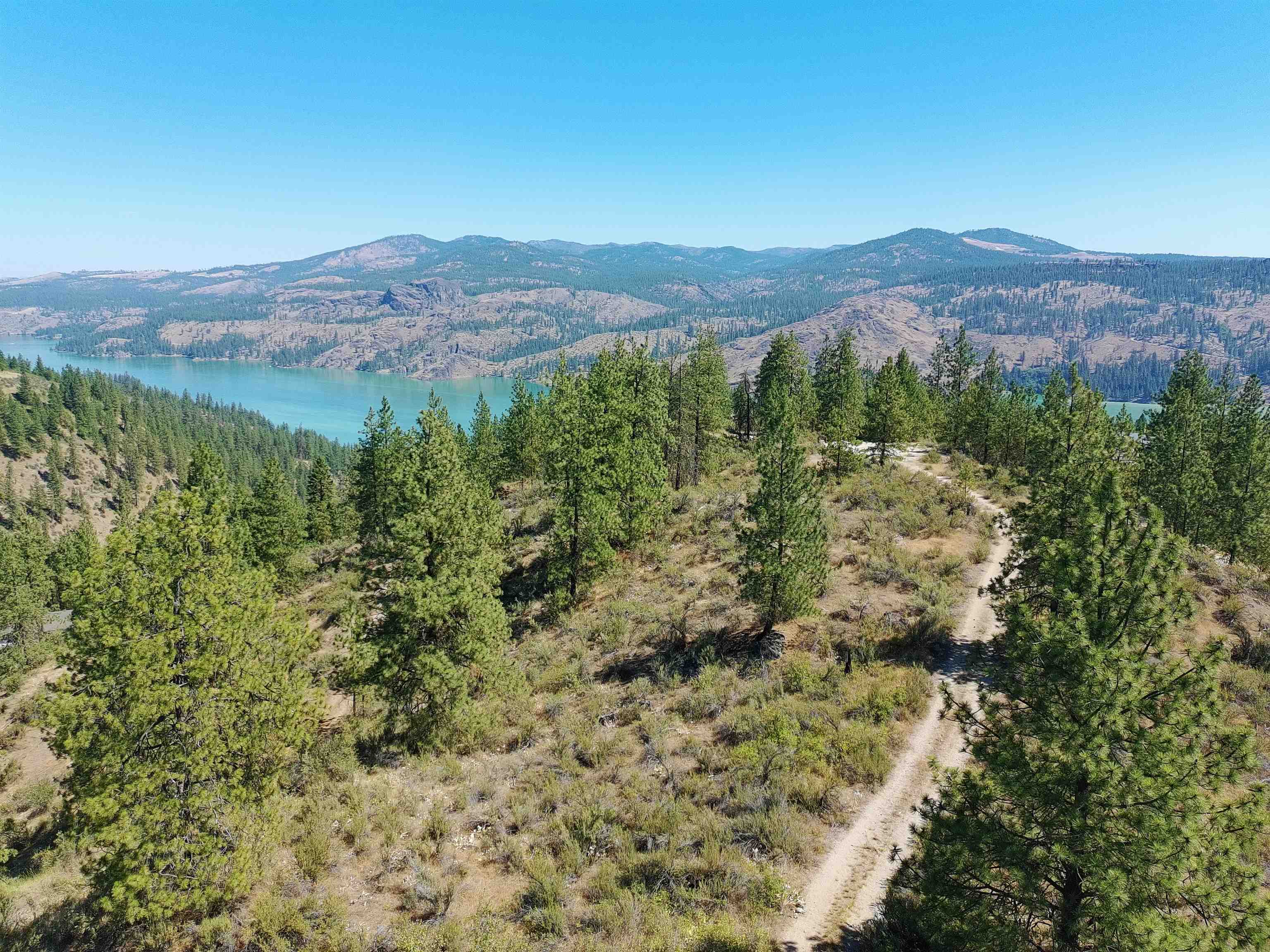 Lot 24 Timber Bay Drive East, Unit LOT 24 A & B TIMBER BAY RD Davenport, WA 99122 - Photo 4 of 33