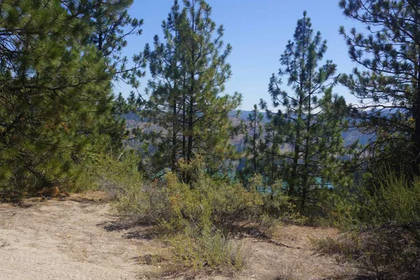 $170,000 | Lot 24 Timber Bay Drive East, Unit LOT 24 A & B TIMBER BAY RD, Davenport, WA 99122