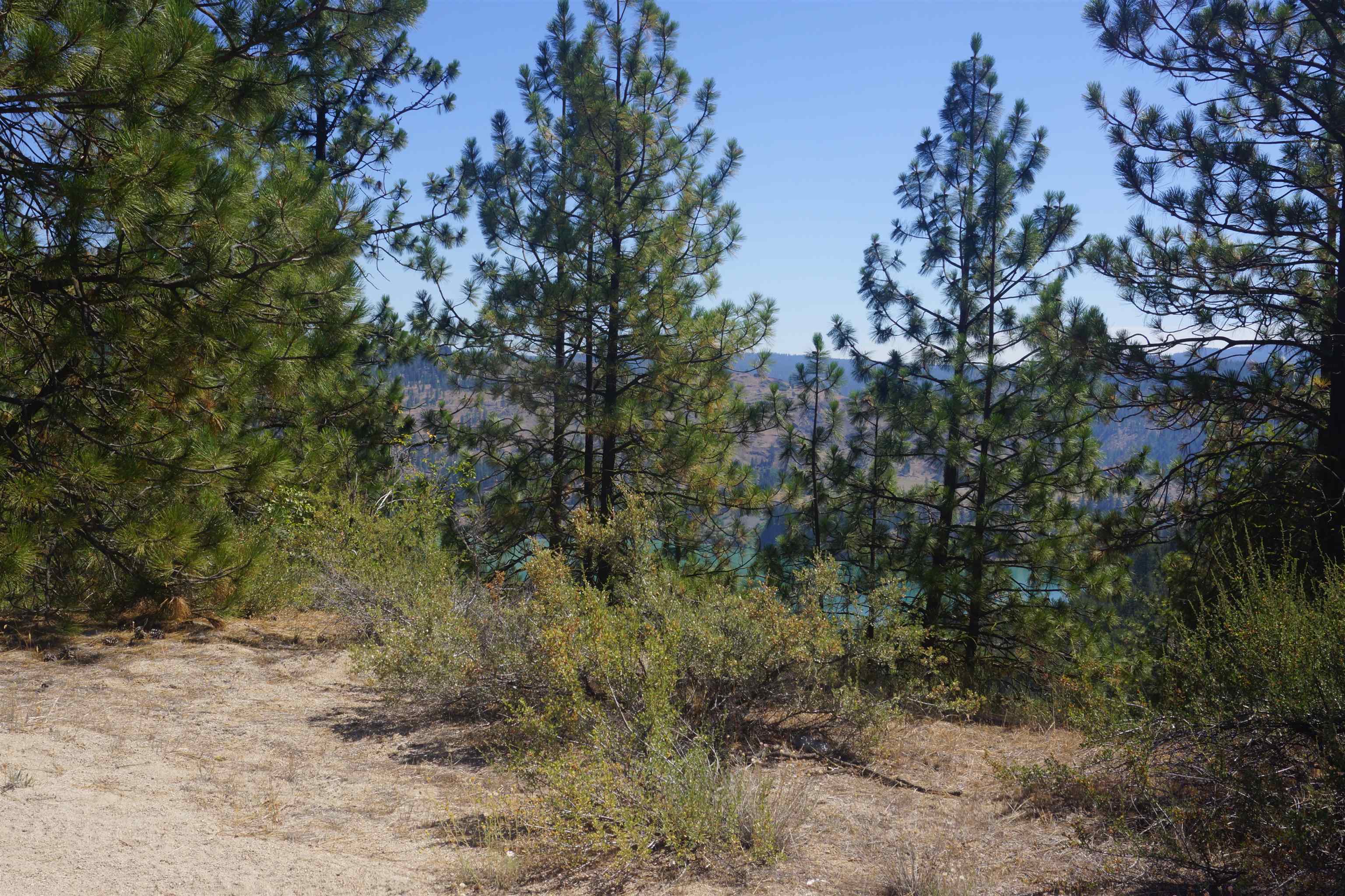 Lot 24 Timber Bay Drive East, Unit LOT 24 A & B TIMBER BAY RD Davenport, WA 99122 - Photo 7 of 33