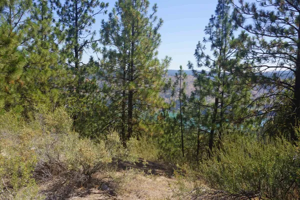 $170,000 | Lot 24 Timber Bay Drive East, Unit LOT 24 A & B TIMBER BAY RD, Davenport, WA 99122