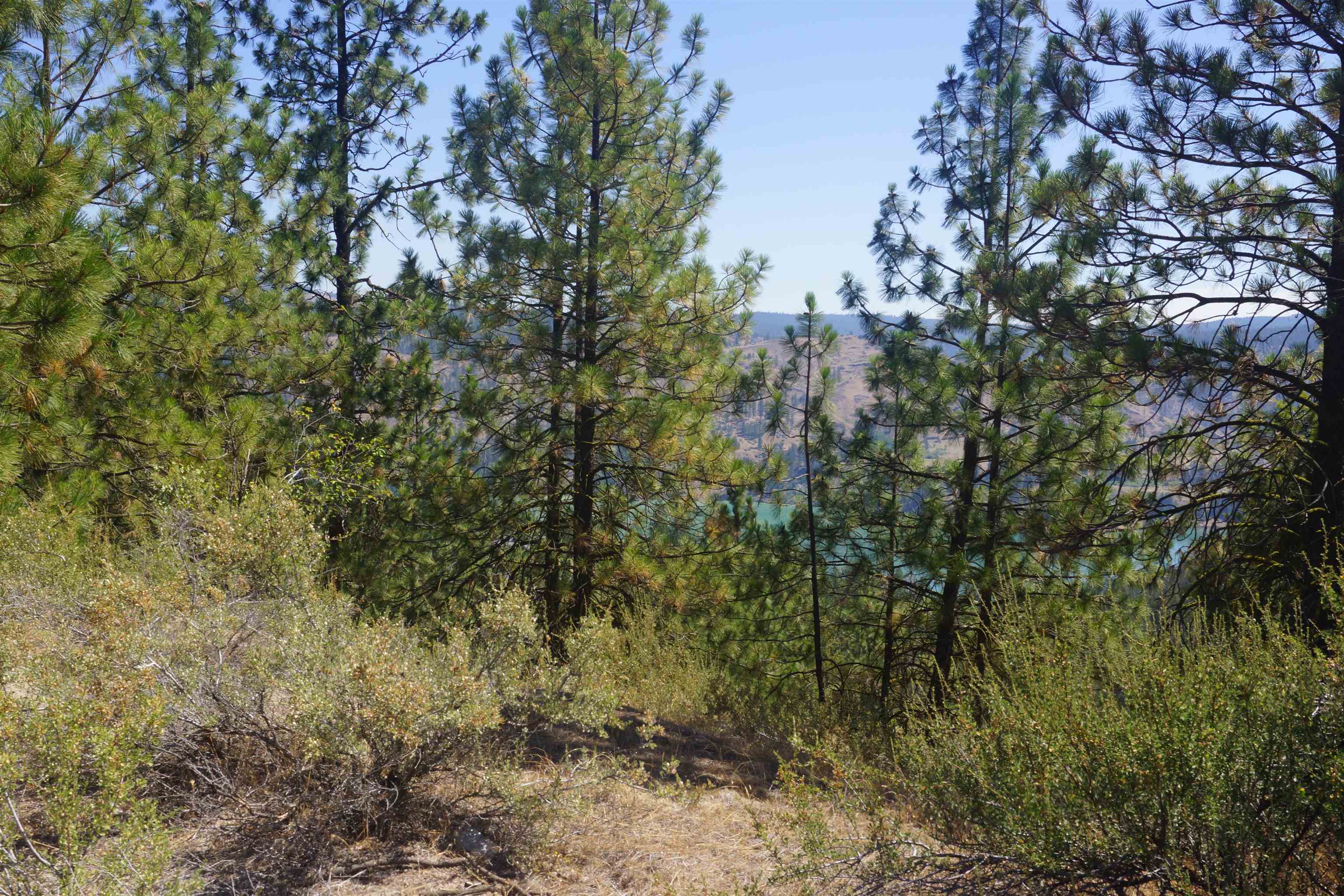 Lot 24 Timber Bay Drive East, Unit LOT 24 A & B TIMBER BAY RD Davenport, WA 99122 - Photo 8 of 33