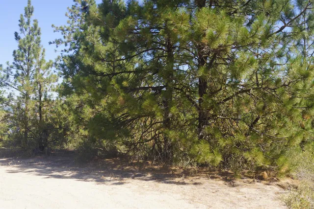 $219,000 | Lot 24 Timber Bay Drive East, Unit LOT 24 A & B TIMBER BAY RD, Davenport, WA 99122