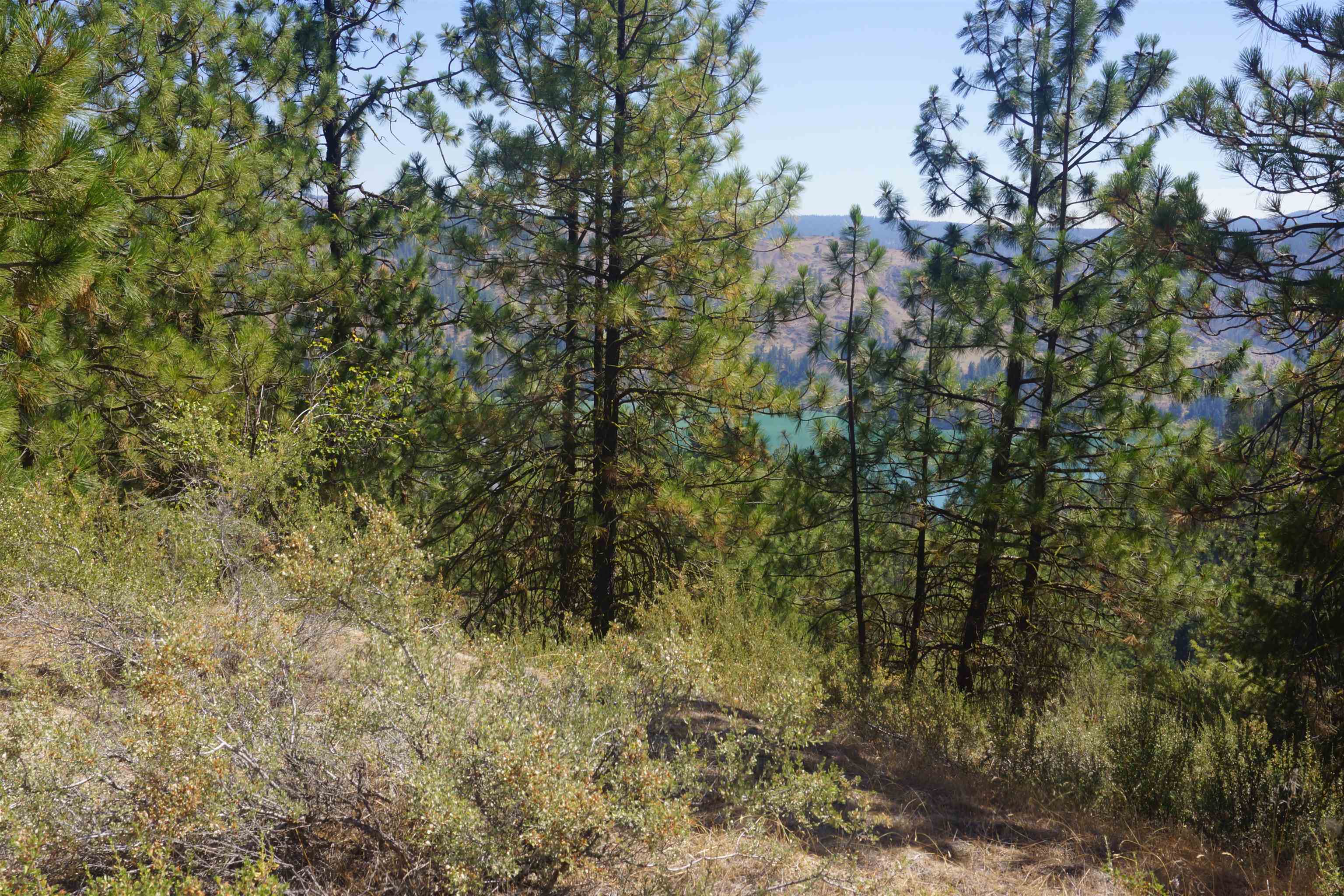 Lot 24 Timber Bay Drive East, Unit LOT 24 A & B TIMBER BAY RD Davenport, WA 99122 - Photo 10 of 33