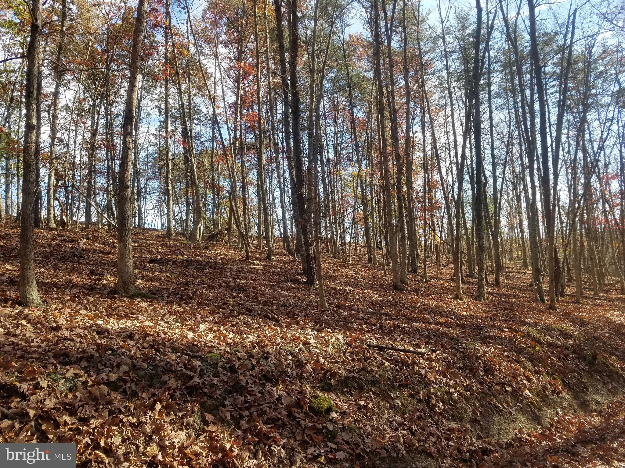 Church Hollow Road Romney, WV 26757 - Photo 10 of 20