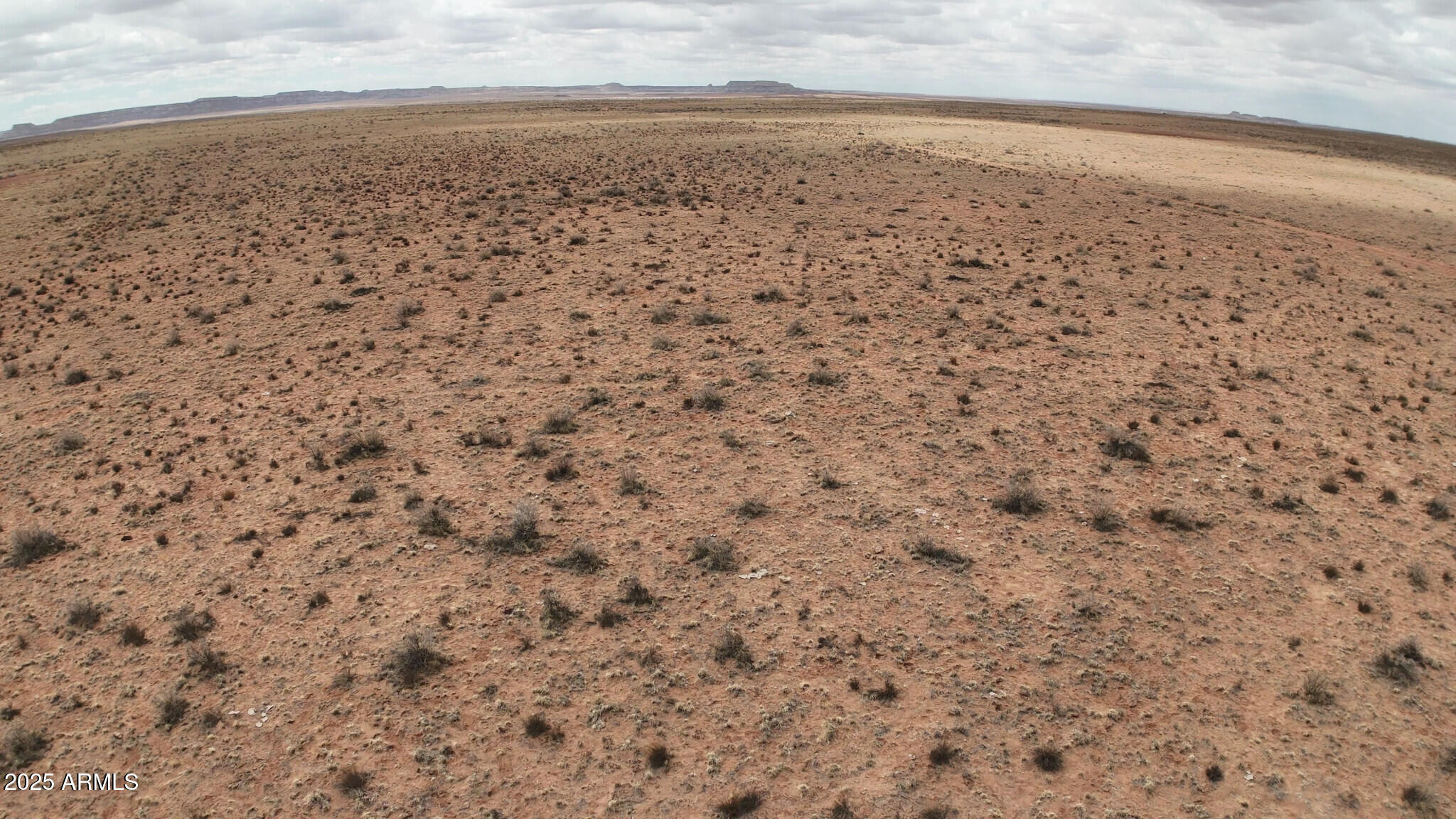 a view of a dry yard with wooden floor